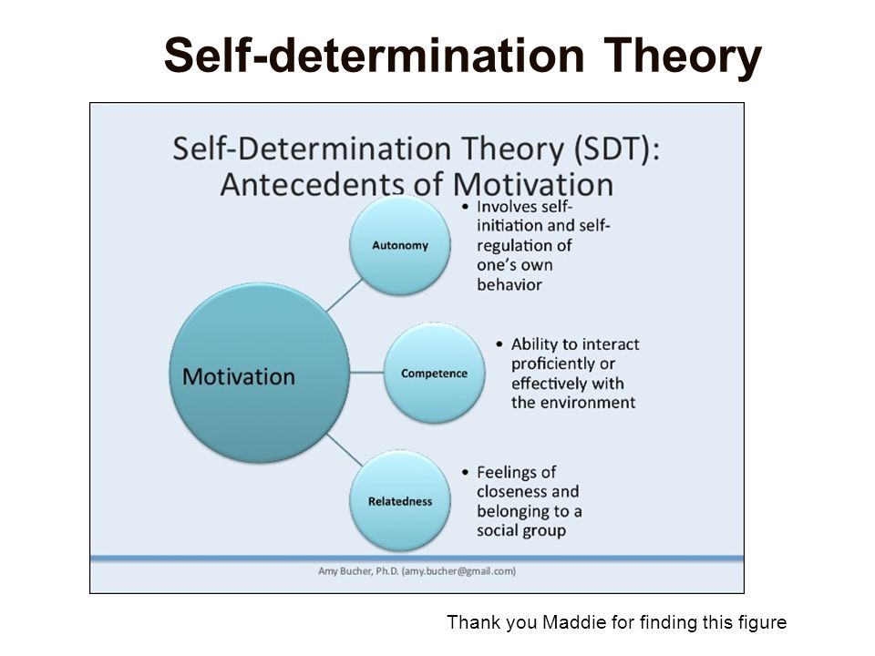 Self determination theory and career